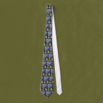 Sushi  Satori ties