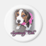 "Suspiciously Cute" beagle magnet