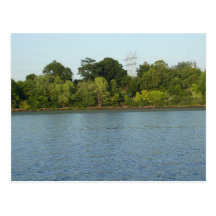 Susquehanna River Post Card