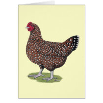 Sussex:  Speckled Hen