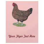 Sussex:  Speckled Hen Full Color Flyer