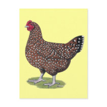 Sussex:  Speckled Hen