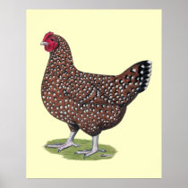 Sussex:  Speckled Hen