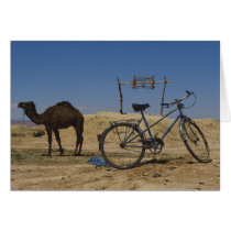 Sustainable transportation cards