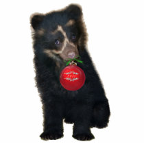 Suyana Andean Bear Photo Sculpture