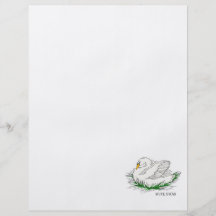Swacy Swan Full Color Flyer