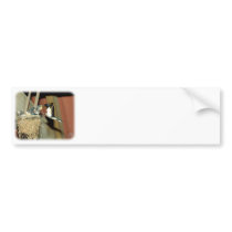Swallow 8K008D-10 Bumper Stickers