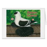 Swallow Pigeon:  Saxon Greeting Cards