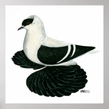 Swallow:  Saxon Black White Bar Posters