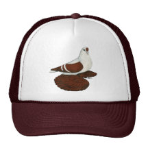 Swallow:  Silesian Red White Bar Mesh Hats