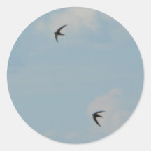Swallows Birds Stickers