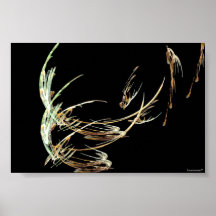Swallows Posters
