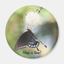 Swallowtail Butterfly Magnets