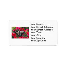 Swallowtail Butterfly on Flowers Address Label