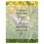 Swallowtail Butterfly  on Siberian Wallflowers Flyers