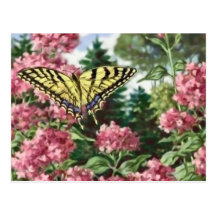 Swallowtail Butterfly Pink Flowers Garden Painting Post Cards