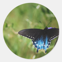 Swallowtail Butterfly Stickers