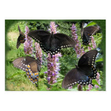 Swallowtail Collage ~ ATC Business Cards