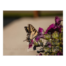 Swallowtail in the Petunias; 2013 Calendar Photo Art
