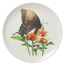 Swallowtail on Orange Lantana Dinner Plates
