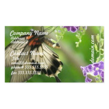 Swallowtal Butterfly Business Cards