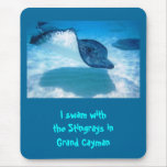 Swam with Rays IN ___ mousepad