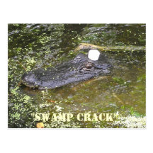 Swamp Crack Post Cards
