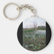 Swamp environment keychains