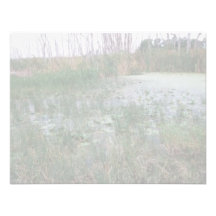 Swamp environment personalized invite
