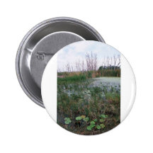 Swamp environment pinback button