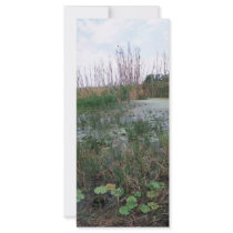 Swamp environment customized rack card