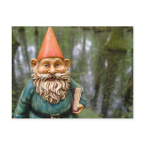 Swamp Gnome Postcard