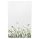 Swamp Grass Stationery
