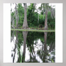 Swamp Reflection in Louisiana Posters