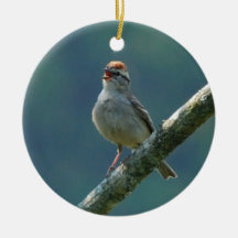 Swamp Sparrow ornament