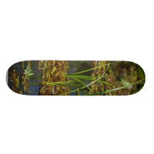 Swamps Lake Skate Decks