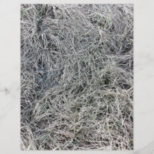 Swampy ground with long grass flyers