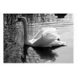 Swan 2012 pocket calendar business cards