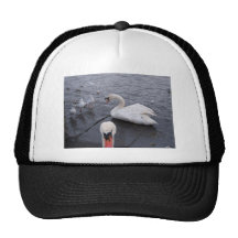Swan and Gulls Mesh Hat