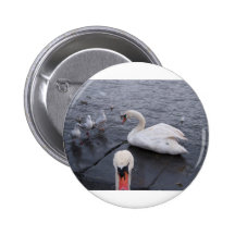 Swan and Gulls Pin