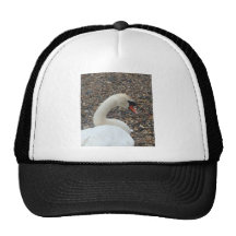 Swan at Rest Hat