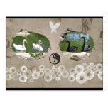 Swan Balance Postcard