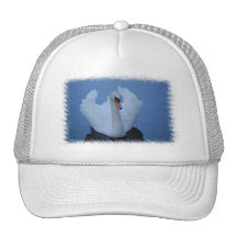 Swan Baseball Hat
