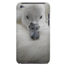 Swan, Beautiful White Feathers, Beauty Comfort iPod Touch Case-Mate Case