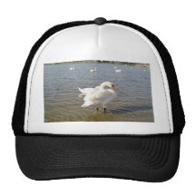 Swan Birds Trucker Hats