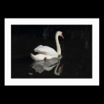 Swan (Bordered) business cards