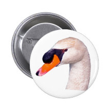 swan boton 