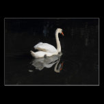 Swan business cards