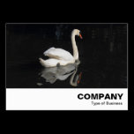 Swan business cards