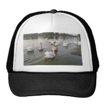 Swan Family Mesh Hat